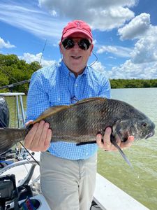 A person fishing for a large black drum fish in Florida