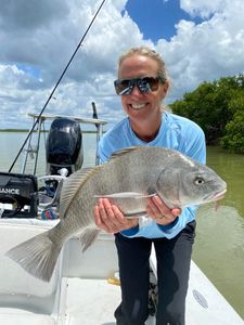 A huge black drum fish caught in Naples, Florida while fishing.