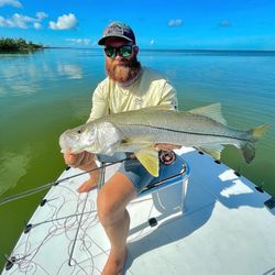 Snook fish caught by one person in Naples