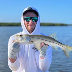 Snook fish caught by fisherman in Naples