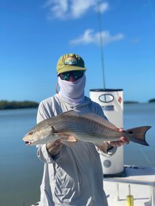 Redfish caught by angler in FL