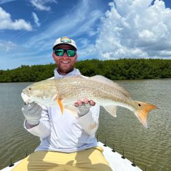 A redfish measuring 28 inches caught while fishing in Naples