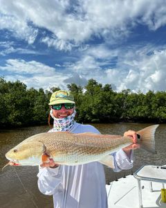 Redfish caught in Naples, Florida