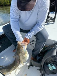 Scenic fishing trip in Naples