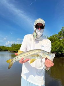 A snook, a large saltwater fish, caught in Naples, Florida while fishing.