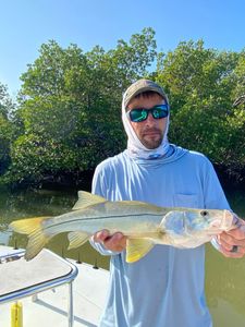 Snook fish caught while fishing in Naples