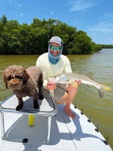 Snook fish caught while fishing in FL