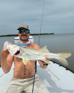 Snook, 28-inch fish caught while fishing in Naples