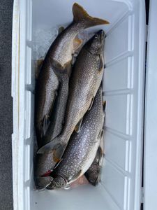 Serene fishing scene in Minnesota
