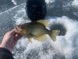 Fishing in Minnesota
