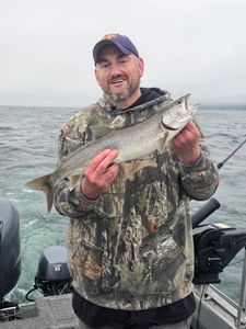 A lone lake trout caught while fishing in Minnesota