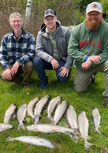 8 great barracuda and lake trout fish caught in MN