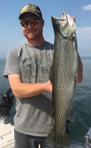 A lone rainbow trout caught in Minnesota while fishing