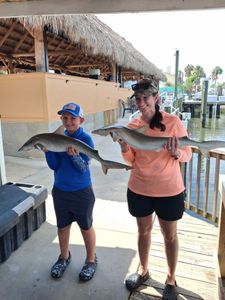 Atlantic Sharpnose Sharks caught during fishing tour in Port Orange FL