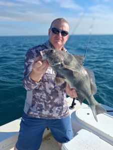 Black drum fish caught during fishing tour in Port Orange FL