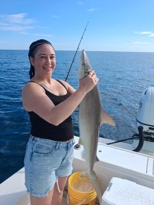 Blacktip shark caught during fishing charter in Port Orange FL
