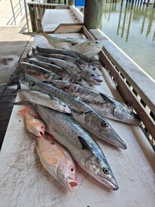 Fresh caught fish including Crevalle Jack and Lane Snapper displayed on fishing boat deck in Port Orange FL