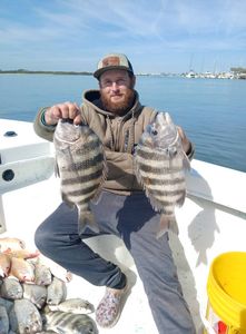 Two sheepshead fish caught while fishing in Port Orange FL displayed on boat deck