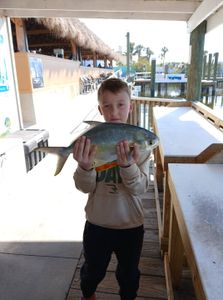 Florida Pompano caught fishing in Port Orange FL displayed at waterfront dock