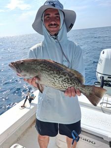 Gag grouper caught while fishing in Port Orange FL waters