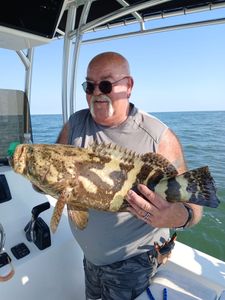 Goliath grouper caught fishing in Port Orange FL