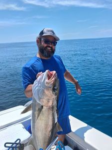 Greater amberjack caught during fishing charter in Port Orange Florida