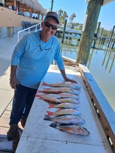 Fresh caught grey snapper displayed on fishing dock in Port Orange FL