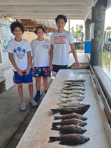 Fresh caught grey snapper displayed on cleaning table at Port Orange FL fishing dock