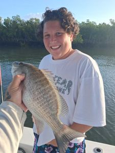 Grey snapper caught during fishing tour in Port Orange FL