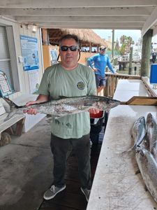 King mackerel catch displayed at fishing dock in Port Orange FL