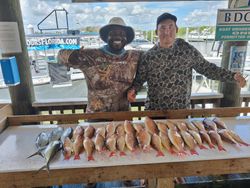 Fresh caught Lane Snapper displayed on fishing cleaning table at Port Orange FL marina