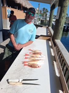 Fresh caught lane snapper and other fish displayed on cleaning table at Port Orange FL fishing dock