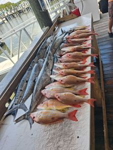 Fresh caught lane snapper laid out on fishing boat cleaning table in Port Orange FL