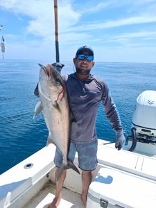Longfin Yellowtail caught during fishing charter in Port Orange FL