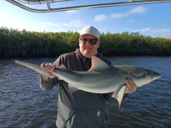 Bull shark catch from fishing trip in Port Orange FL waters