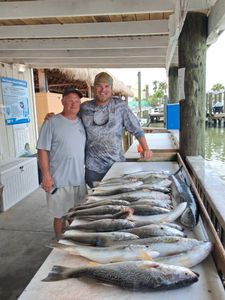 Large fishing catch including cobia displayed on cleaning table at Port Orange FL marina