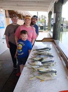 Fresh caught Crevalle Jack fish displayed on cleaning table at Port Orange FL fishing dock