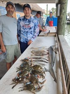Fresh caught blue crabs and fish displayed on cleaning station at Port Orange FL fishing dock