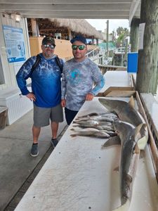 Fresh caught fish displayed on cleaning table at Port Orange FL fishing dock