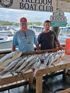 Fresh caught fish displayed on cleaning table at Port Orange FL boat club marina with boats in background