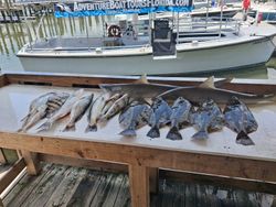 Fresh caught fish displayed on cleaning table at Port Orange FL marina with charter boat in background