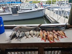 Fishing charter catch display in Port Orange FL showing mixed species including snappers and other fish on cleaning table at marina