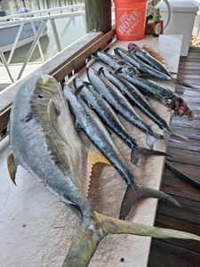 Fresh caught fish displayed on wooden dock table in Port Orange FL including large fish and smaller catches from fishing charter