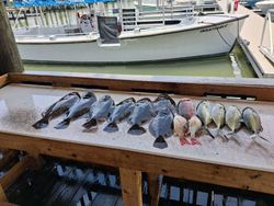 Fresh caught fish displayed on cleaning table at Port Orange FL marina with boats in background