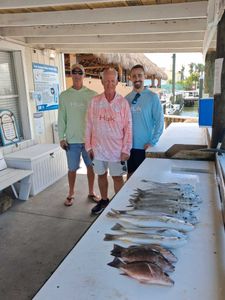 Fresh caught grey snapper and mixed fish species displayed on cleaning table at Port Orange FL fishing dock