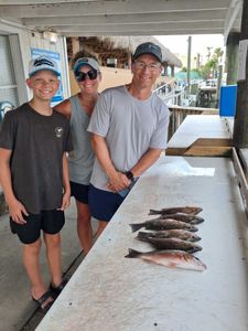 Fresh caught grey snapper and other fish displayed on cleaning table at Port Orange FL fishing dock