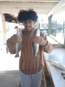 Two Southern Kingcroaker and Squeteague fish caught during fishing trip in Port Orange FL