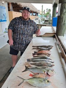 Fishing charter catch display showing blue runner, bluefish, grey snapper, lane snapper, and southern kingcroaker from Port Orange FL