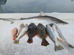 Mixed catch of Atlantic Sharpnose Shark, Southern Flounder, Summer Flounder, Southern Kingcroaker, and Lane Snapper on boat deck in Port Orange FL