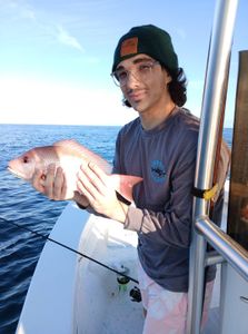 Red snapper catch from fishing trip in Port Orange FL